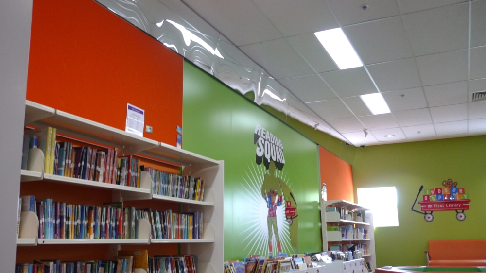 Adventures of a Subversive Reader: Indooroopilly Library