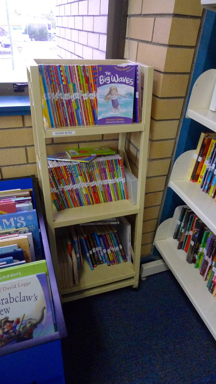 Adventures of a Subversive Reader: Bulimba Library